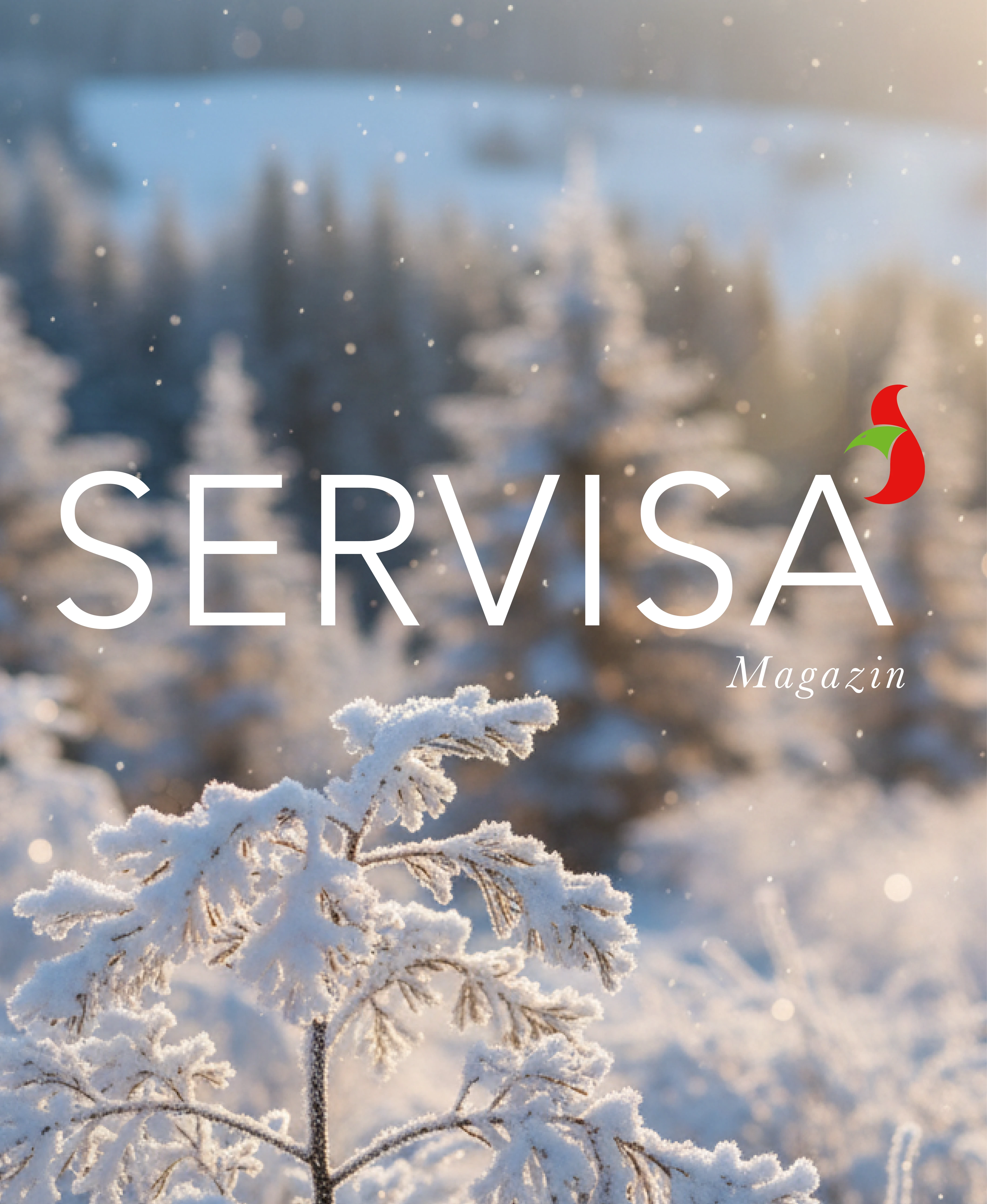 Servisa Banner